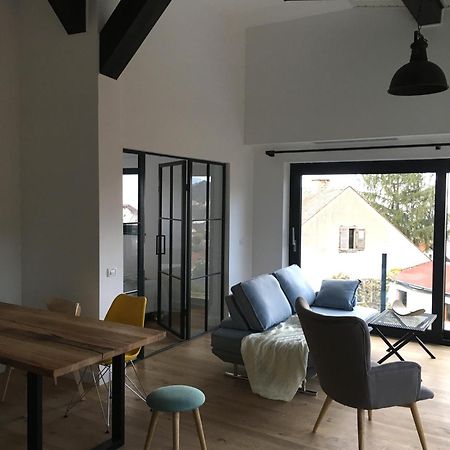 The Pines Boutique Villa ブラショフ エクステリア 写真