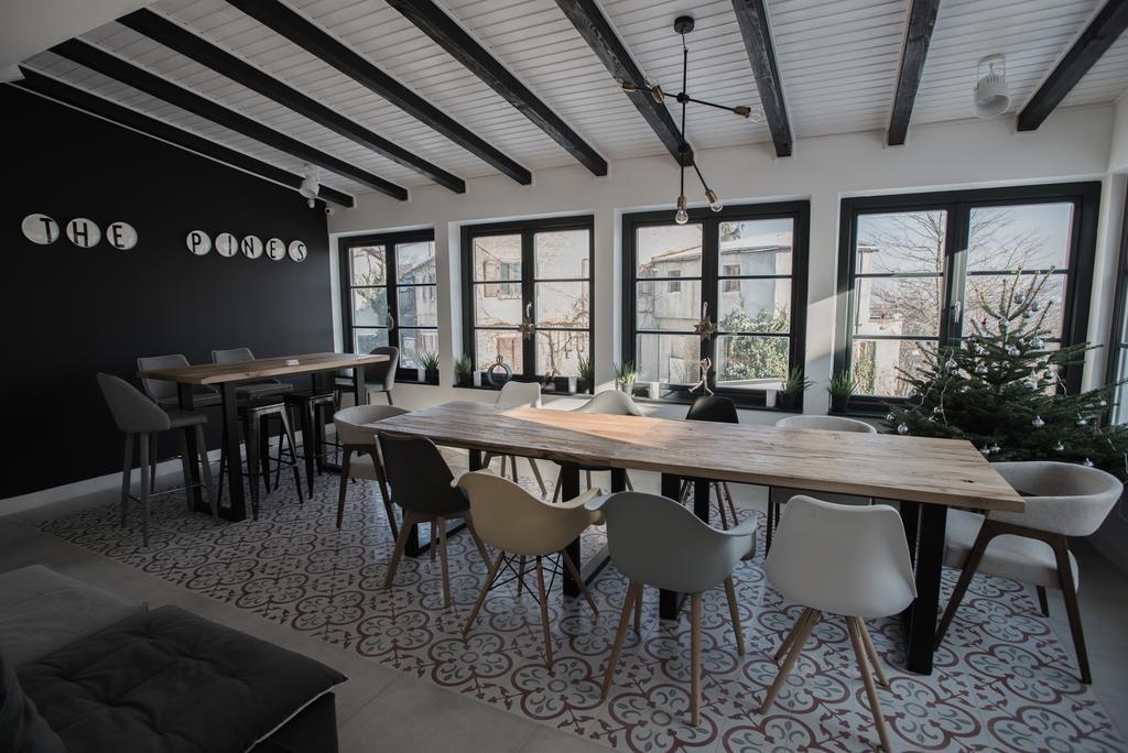The Pines Boutique Villa ブラショフ エクステリア 写真